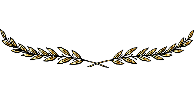 分隔线 分隔器 桂树的叶子 - 免费矢量图形