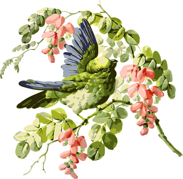 鸟 鹦鹉 紫藤 - 免费矢量图形