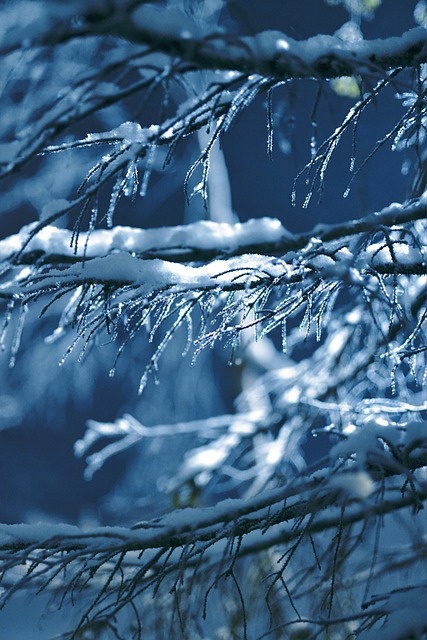 自然 冰柱 雪 - 上的免费照片