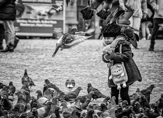 阿姆斯特丹 水坝广场 孩子 - 上的免费照片