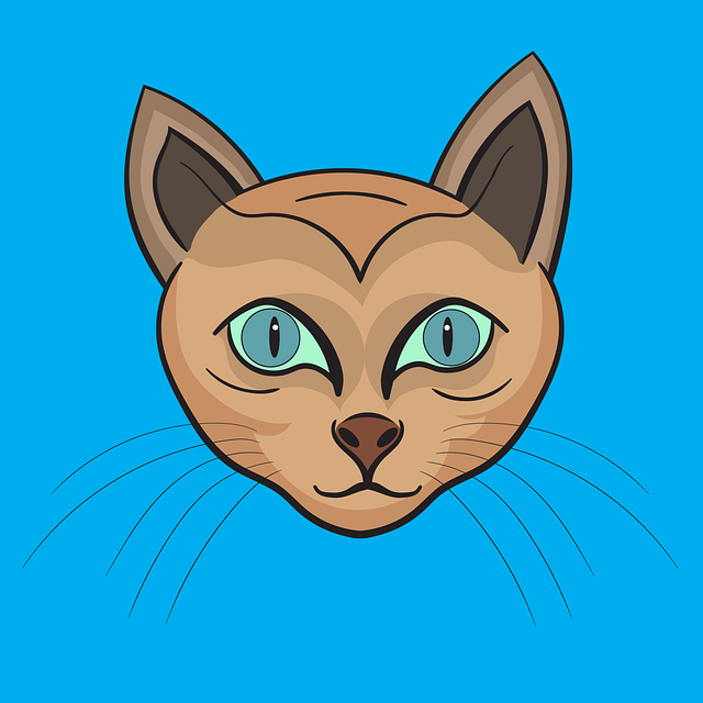 猫 猫画 - 上的免费图片