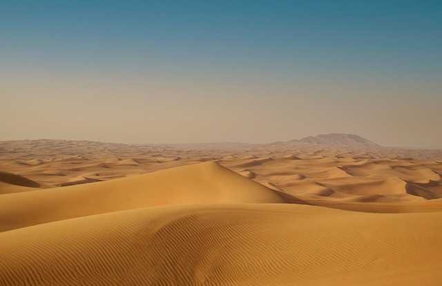 迪拜沙漠野生动物园 占领沙漠 沙丘 - 上的免费照片