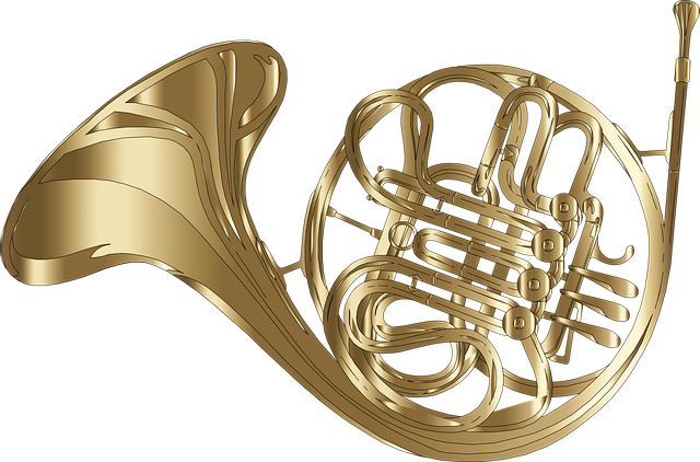 圆号 乐器 音乐 - 免费矢量图形