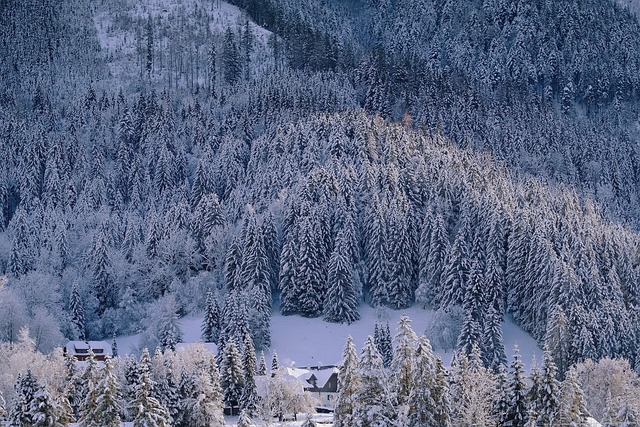 山 雪 自然 - 上的免费照片