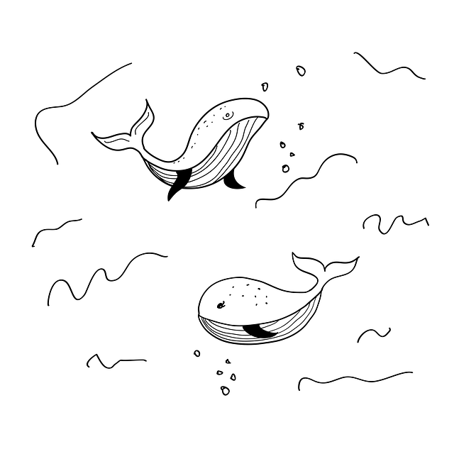 鲸 画画 鱼 - 免费矢量图形