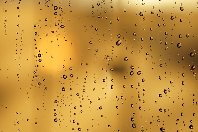 雨 雨滴 玻璃板 - 上的免费照片