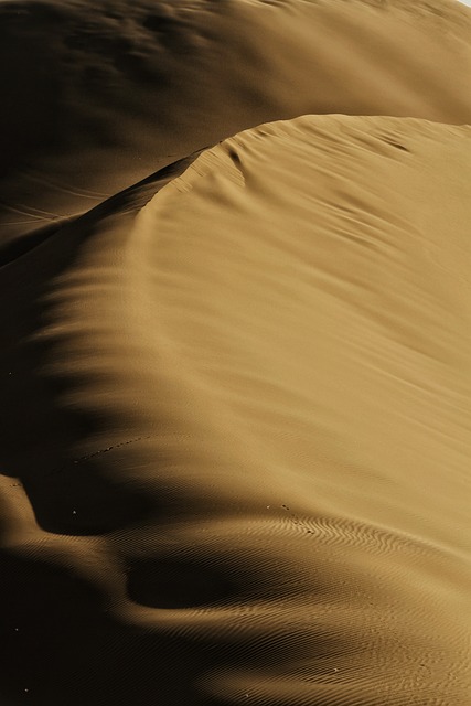 沙漠 自然 金的 - 上的免费照片