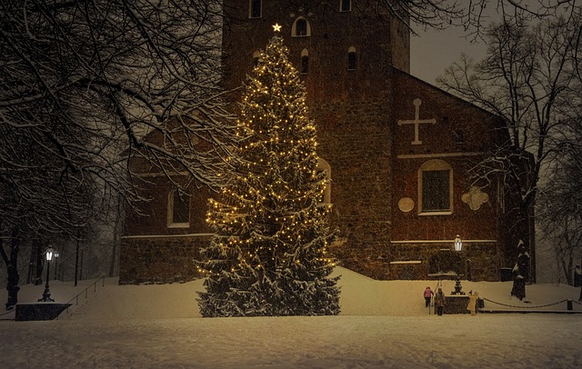 圣诞树 假期 季节 - 上的免费照片