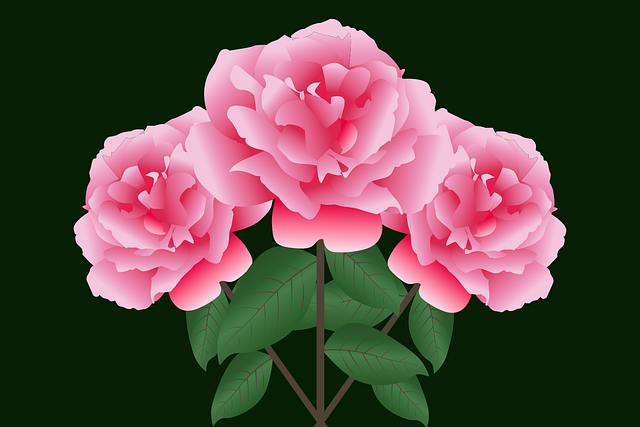 生日 花边框 卡通花 - 免费矢量图形