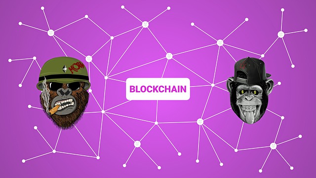 Blockchain 加密 猿 - 上的免费图片
