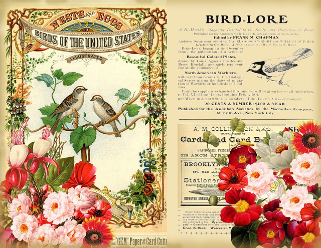 剪贴簿 优质的 花的 - 上的免费图片