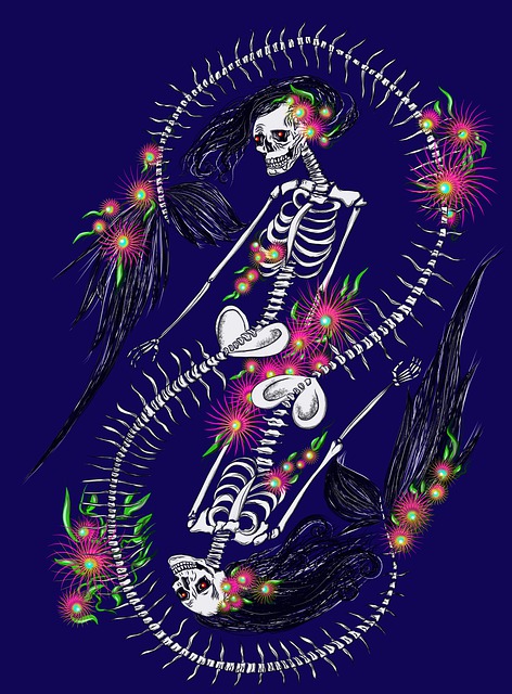 美人鱼骨架 花卉 花头骨 - 上的免费图片