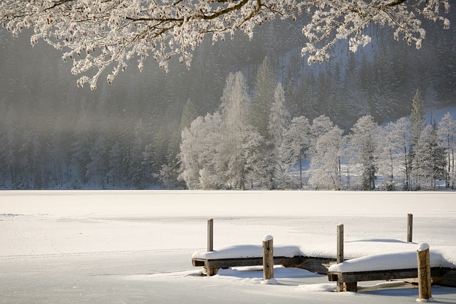冬天 季节 自然 - 上的免费照片