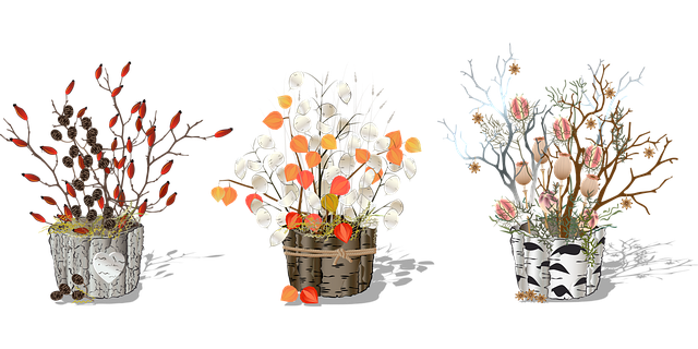 金钱工厂 植物 花盆 - 免费矢量图形