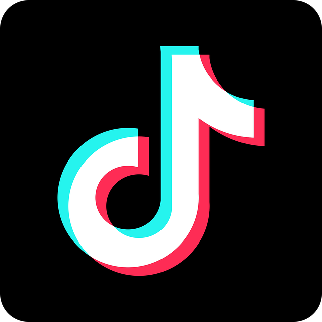 Tiktok Tiktok标志 抖音按钮 - 免费矢量图形