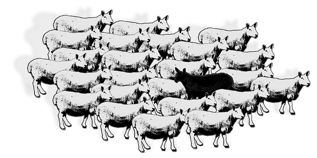 羊 群 异议 - 免费矢量图形