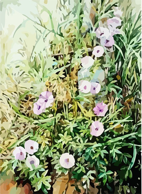风景画 花画 花朵 - 上的免费图片
