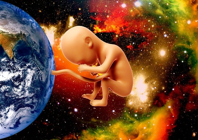 地球母亲 人类家庭 星尘 - 上的免费图片