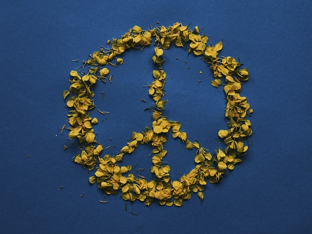 和平 象征 花瓣 - 上的免费照片