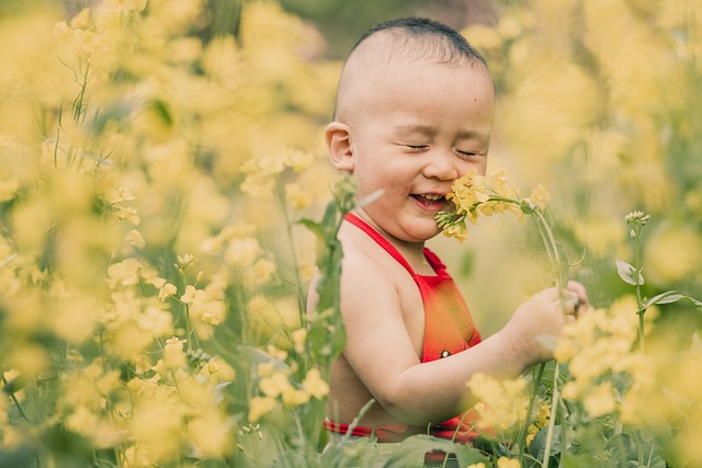 孩子 男孩 花朵 - 上的免费照片