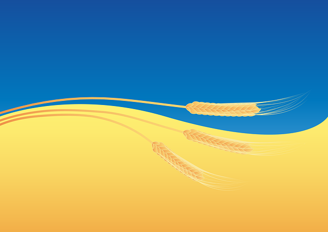 小麦 粮食 农作物 - 免费矢量图形
