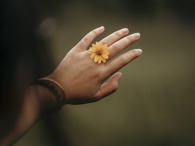 花 盛开 开花 - 上的免费照片