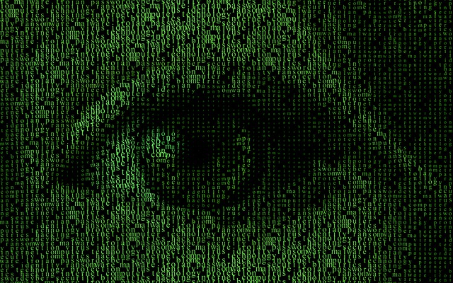 网络 技术 互联网 - 上的免费图片