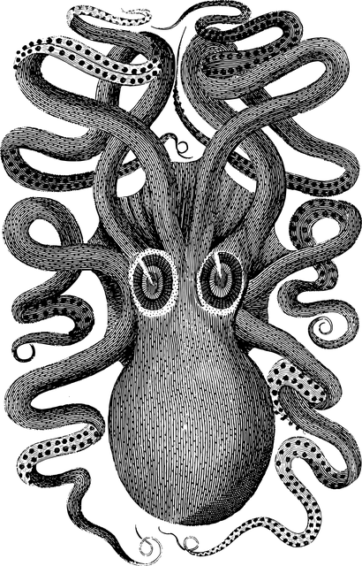 章鱼 动物 线条艺术 - 免费矢量图形