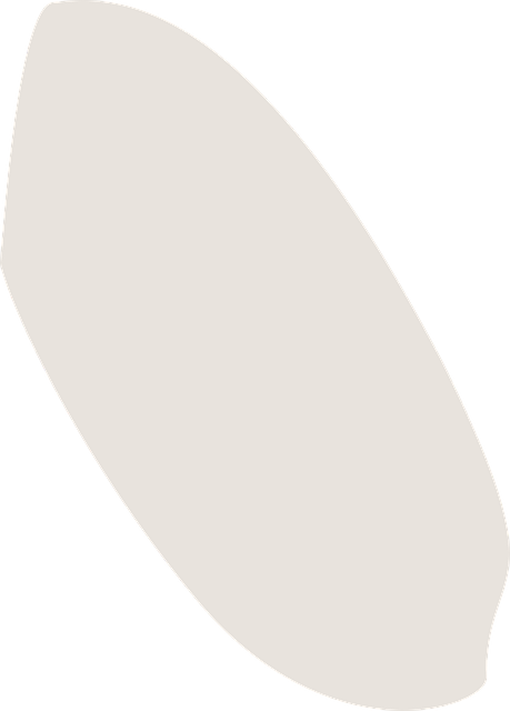 稻谷 食物 小麦 - 免费矢量图形