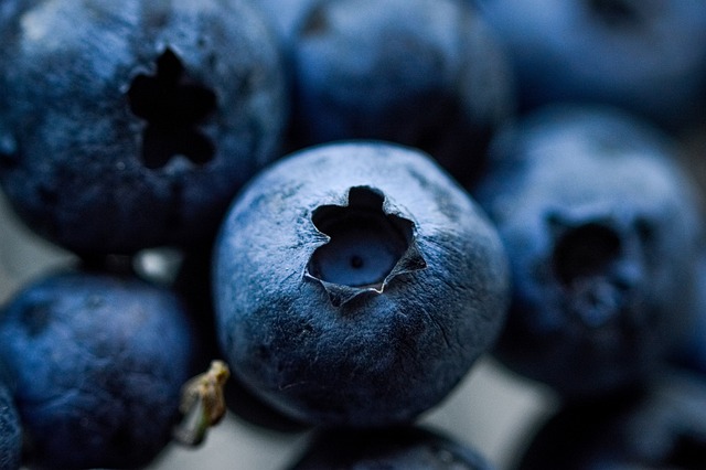 蓝莓 浆果 健康 - 上的免费照片