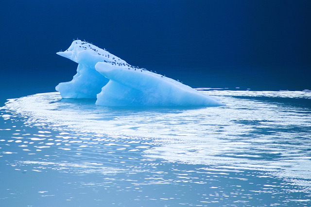 冰川 海 海洋 - 上的免费照片