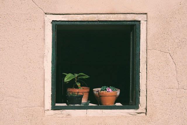 窗户 花盆 盆栽的植物 - 上的免费照片