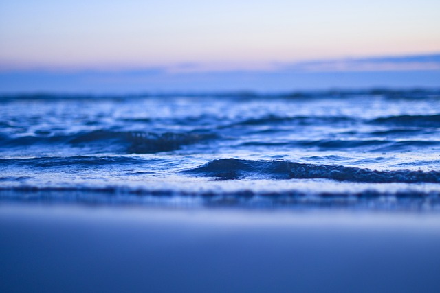 海滩 卡特维克安泽 海 - 上的免费照片