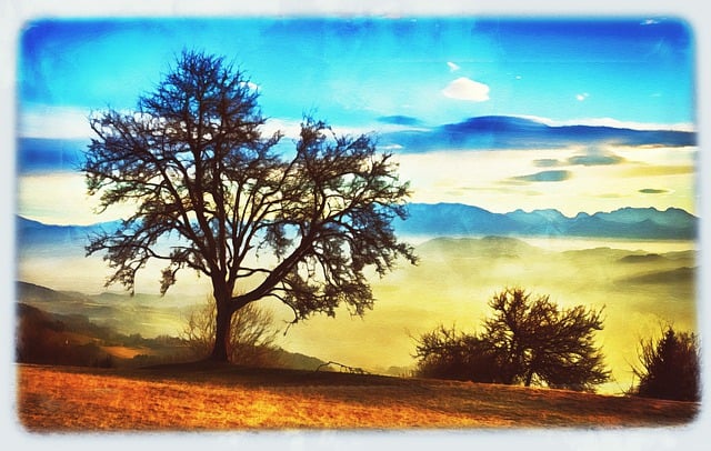 拉万塔尔 科拉尔佩 卡林西亚 - 上的免费图片