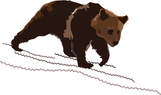 熊 灰熊 坡 - 免费矢量图形