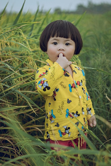 学步的儿童 孩子 稻田 - 上的免费照片