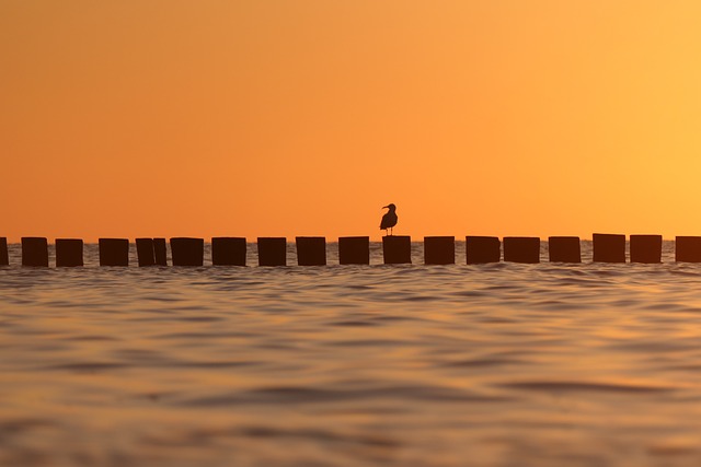 日落 海 坐 - 上的免费照片