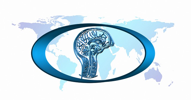 脑 人工智能 计算机科学 - 上的免费图片