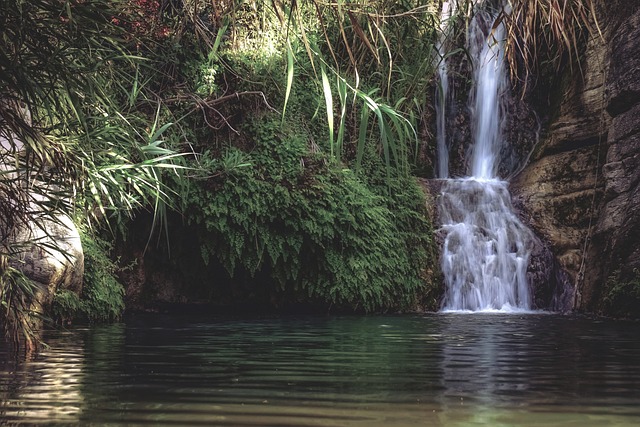 瀑布 池塘 自然 - 上的免费照片