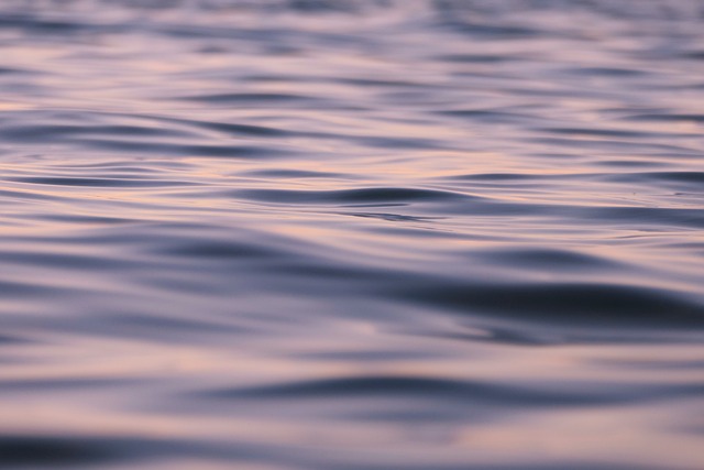 海 波浪 日落 - 上的免费照片