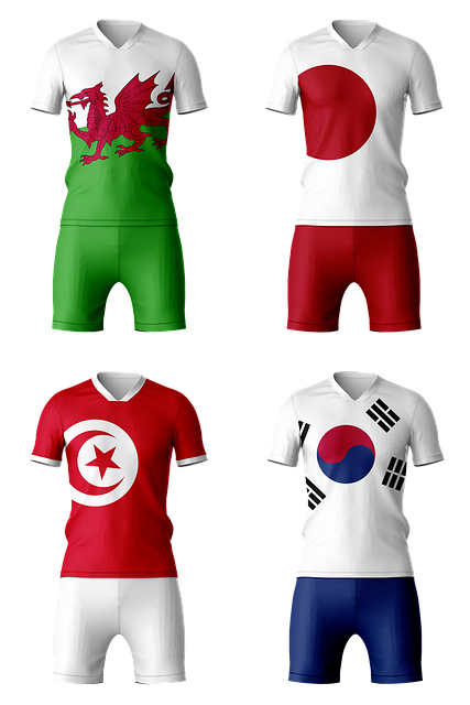 足球服 国家队 标志设计 - 上的免费图片