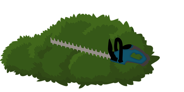 树篱 衬套 绿篱机 - 免费矢量图形