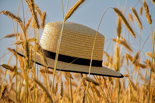 帽 草帽 夏天 - 上的免费照片