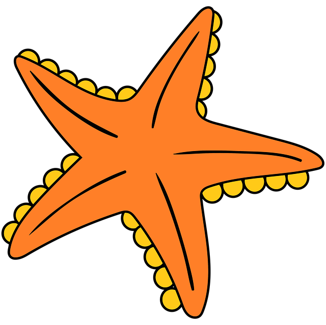 星鱼 透明的 孤立 - 上的免费图片