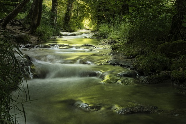 溪 苔藓 溪流景观 - 上的免费照片