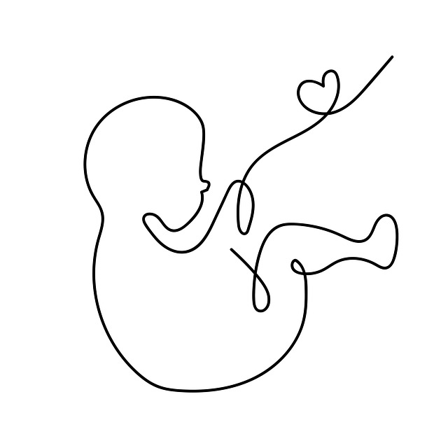 胎儿 婴儿 新生 - 上的免费图片