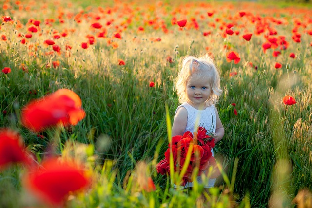 孩子 美丽 花朵 - 上的免费照片
