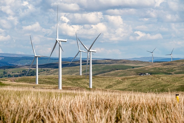 风能 风电场 风力发电机 - 上的免费照片