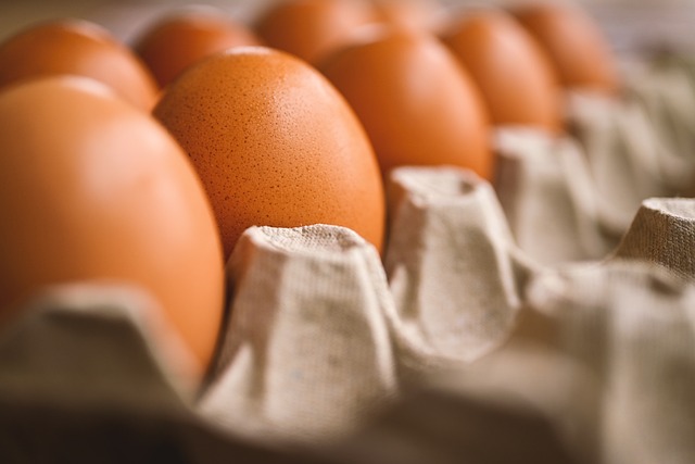蛋 鸡蛋架 再生产 - 上的免费照片