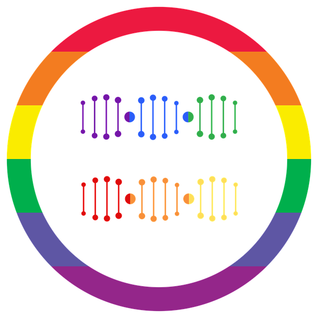 Lgbtq 彩虹 平等 - 上的免费图片